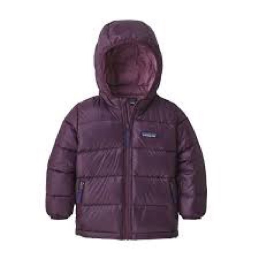 Patagonia Hi-Loft down sweater hooded jacket